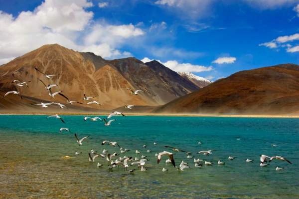 Unknown Facts About Ladakh