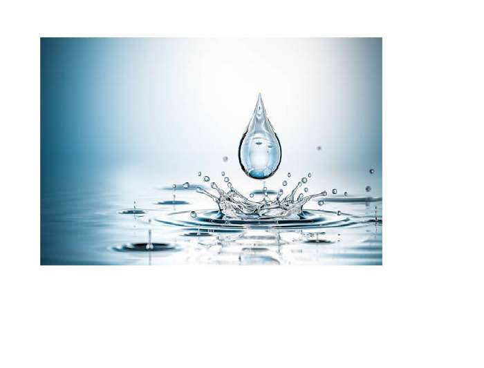 Best Water Purifiers in Kochi