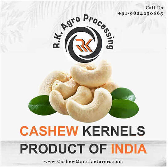 Cashew nut Manufacturers in India