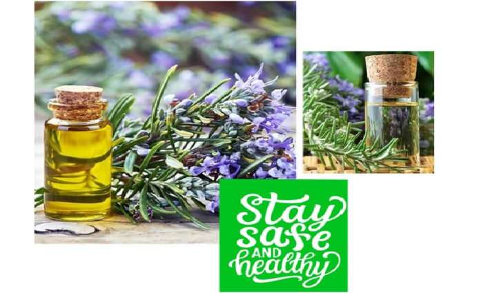 Rosemary oil manufacturers in India