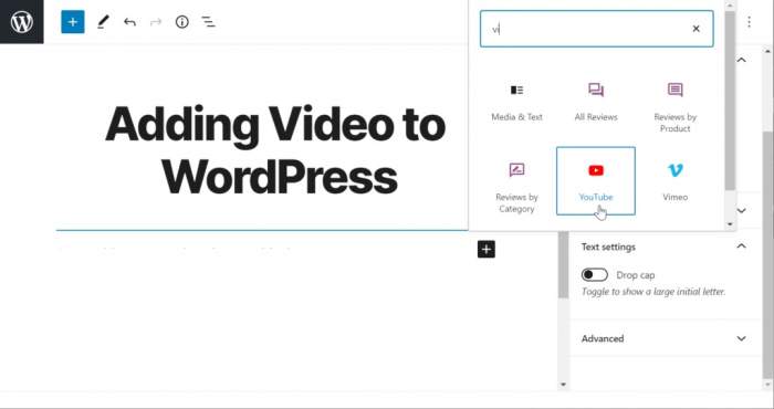 How to Video in Blog Posts to Wordpress