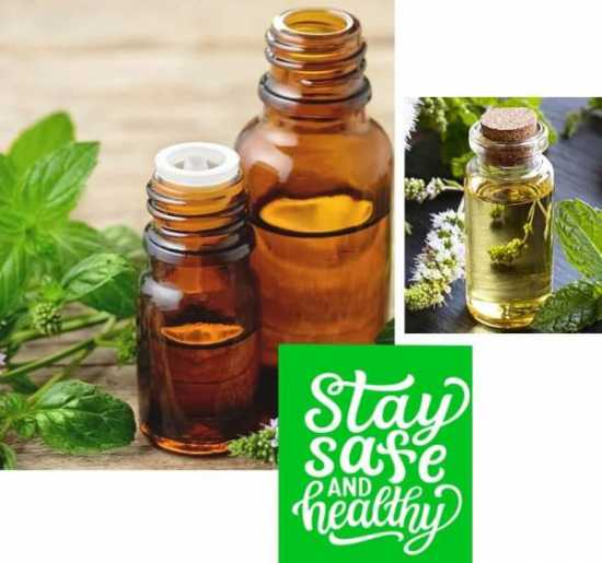 peppermint oil manufacturers in India
