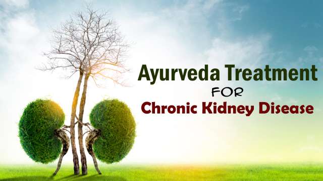 Ayurveda treatment for CKD kidney disease
