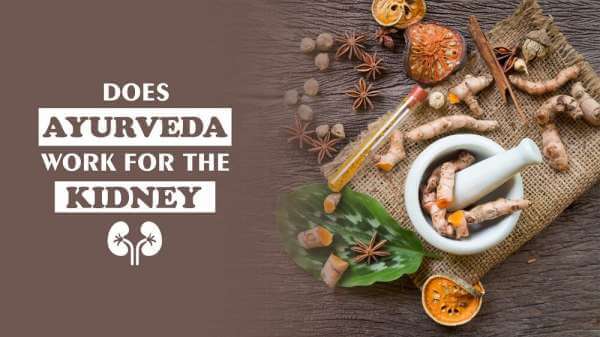 Is Ayurveda work in CKD kidney disease