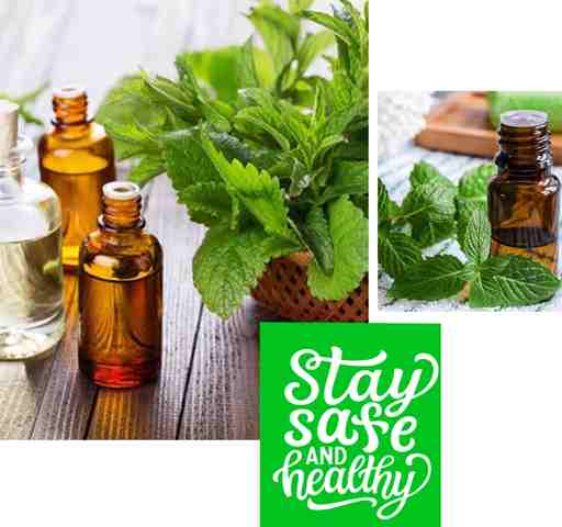 what is spearmint essential oil good for