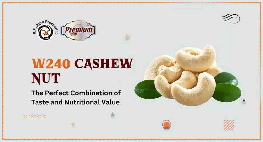 W240 Cashew Nut Suppliers in India