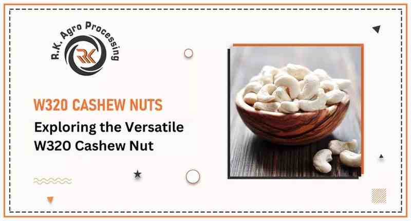 W320 Cashew Manufacturers and Suppliers in India