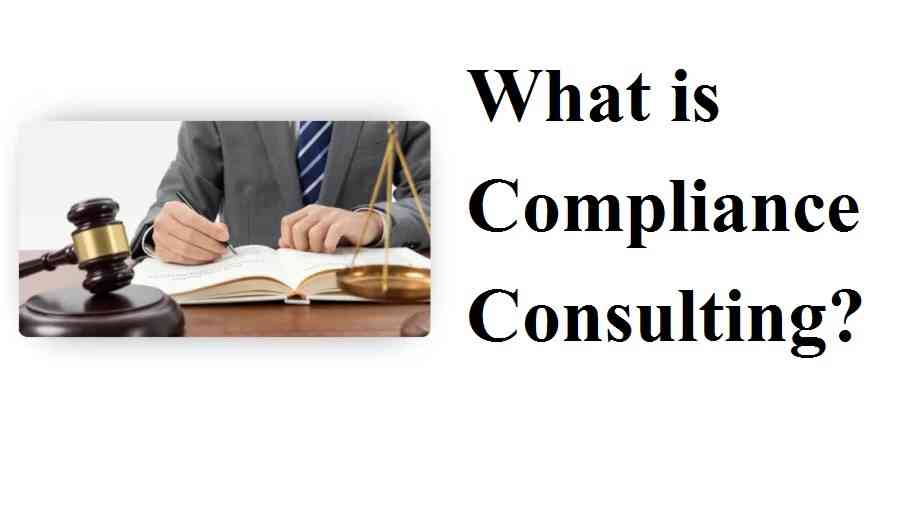 best compliance consultants in India is The Startup Lab