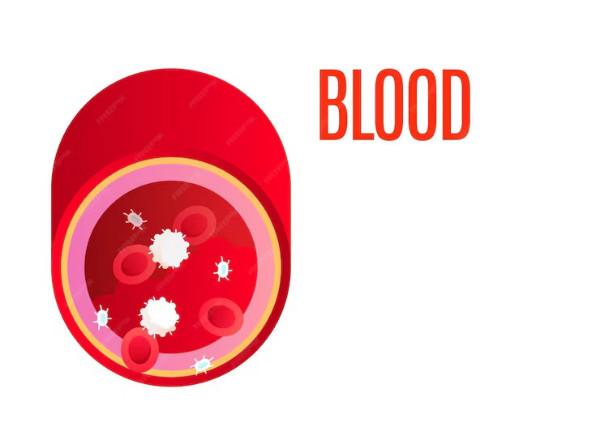 B+ Blood Group Facts