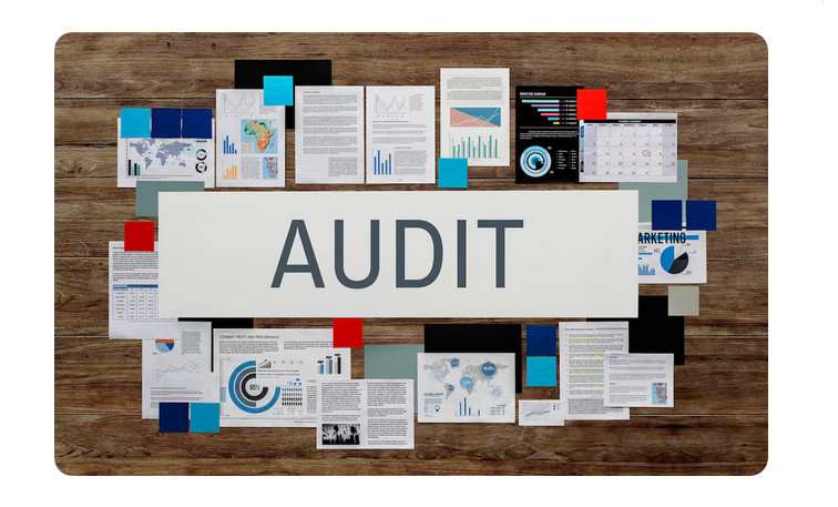 Page Audit and Analyze your Web Page